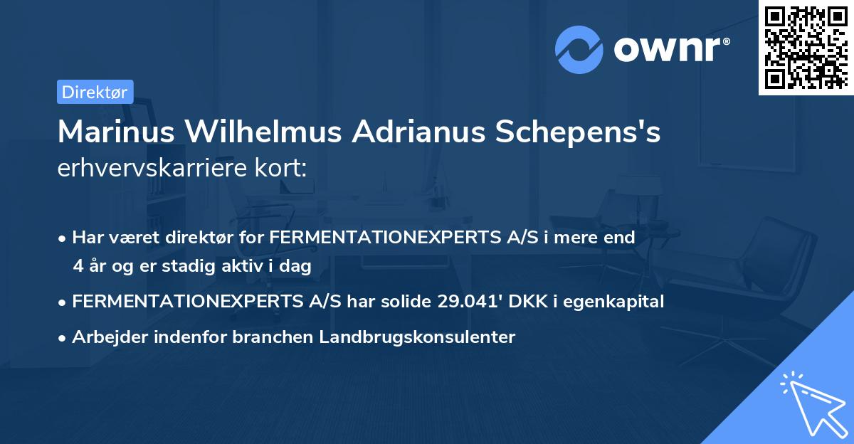 Marinus Wilhelmus Adrianus Schepens's erhvervskarriere kort