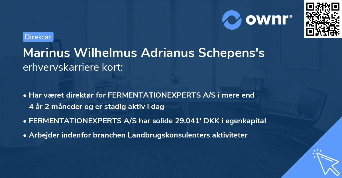 Marinus Wilhelmus Adrianus Schepens's erhvervskarriere kort