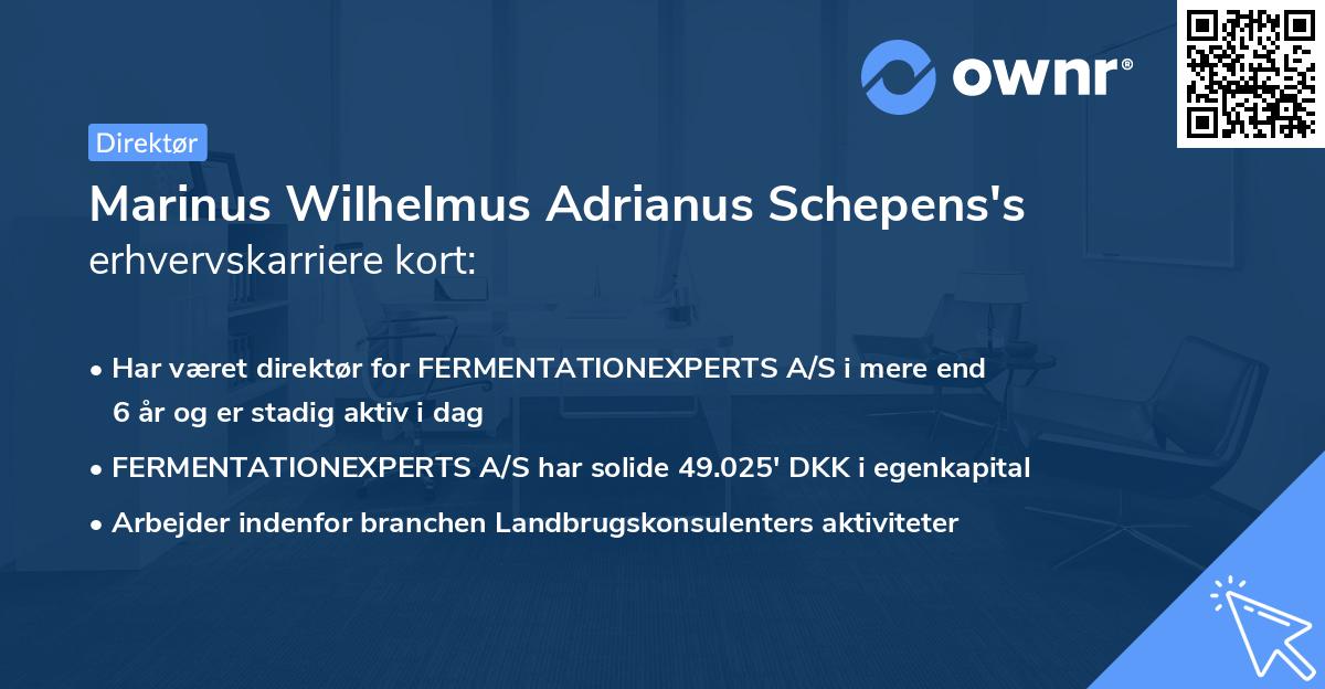 Marinus Wilhelmus Adrianus Schepens's erhvervskarriere kort