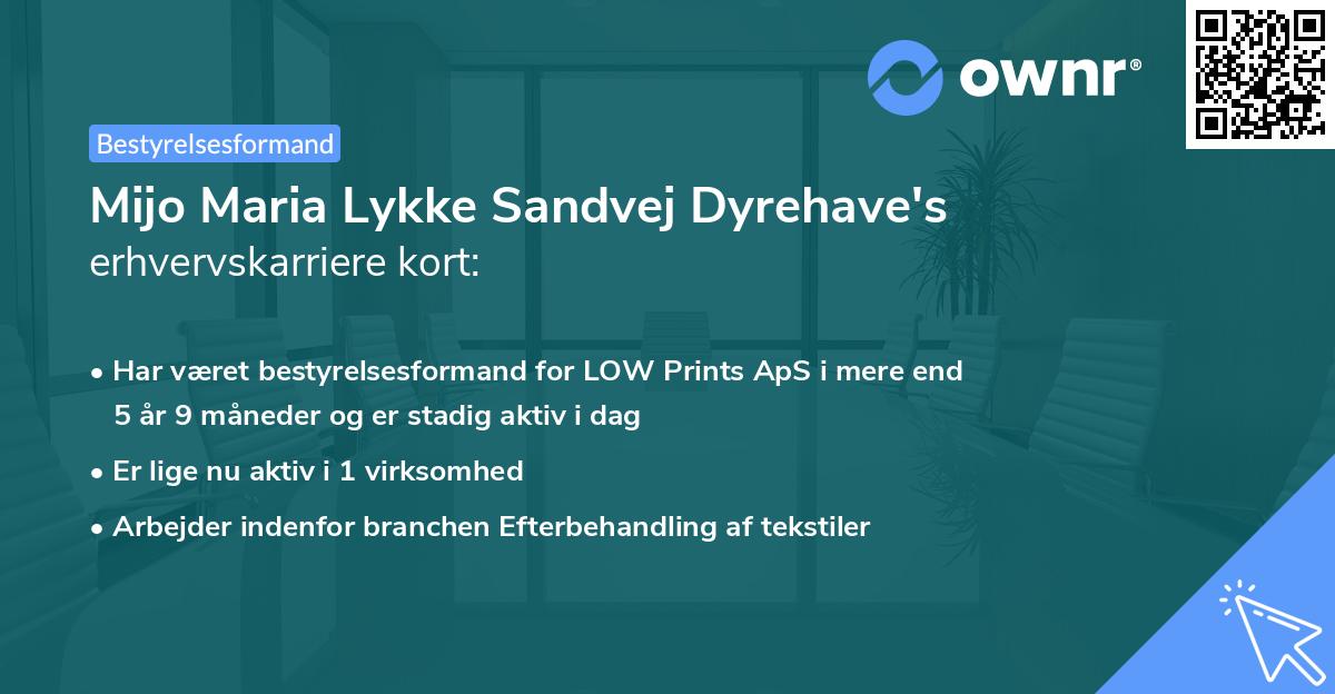 Mijo Maria Lykke Sandvej Dyrehave's erhvervskarriere kort