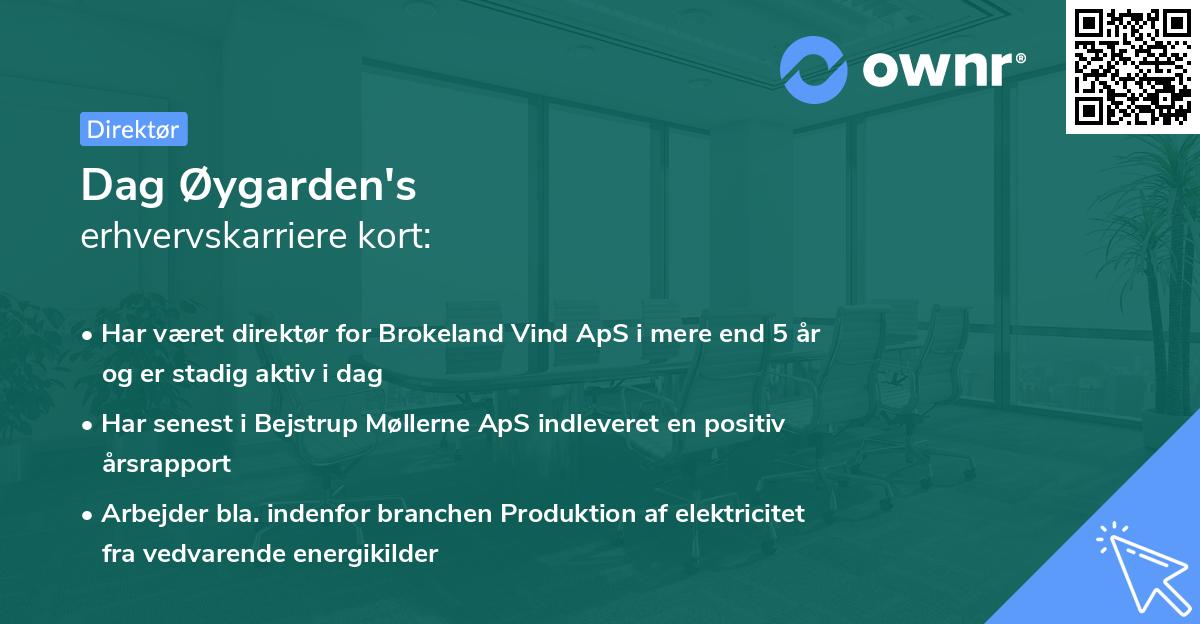 Dag Øygarden's erhvervskarriere kort