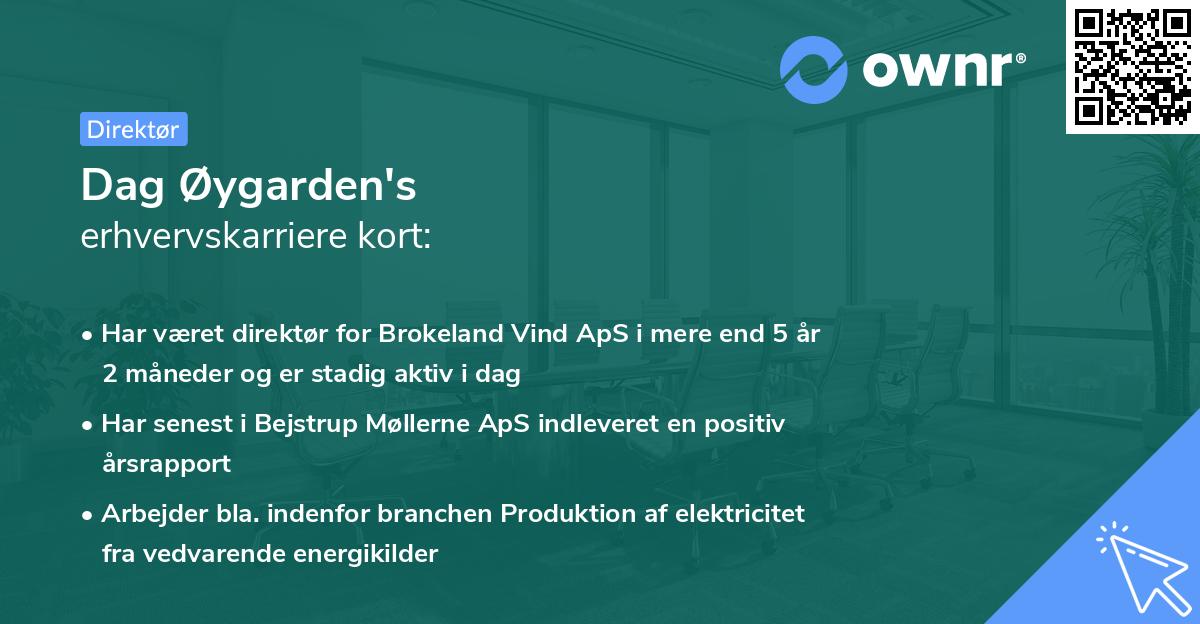 Dag Øygarden's erhvervskarriere kort