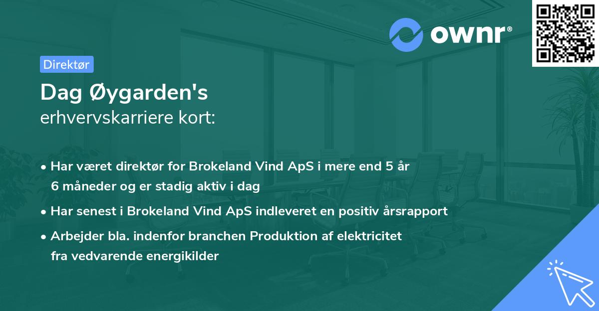 Dag Øygarden's erhvervskarriere kort