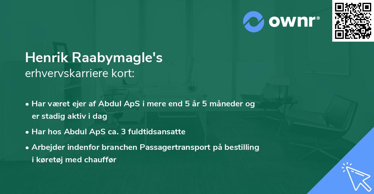 Henrik Raabymagle's erhvervskarriere kort