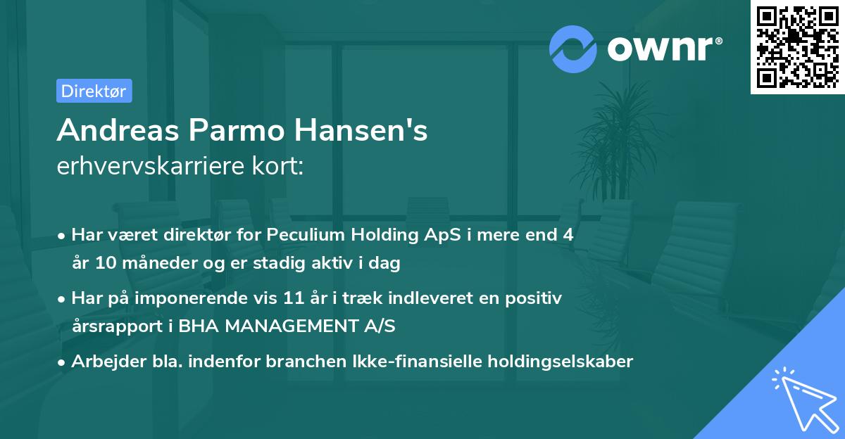 Andreas Parmo Hansen's erhvervskarriere kort