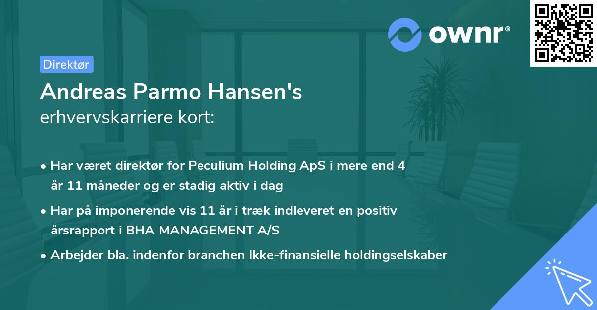 Andreas Parmo Hansen's erhvervskarriere kort