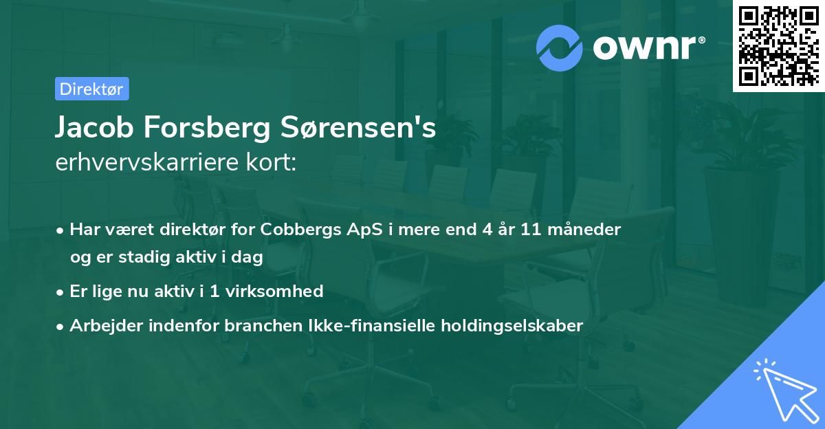 Jacob Forsberg Sørensen's erhvervskarriere kort