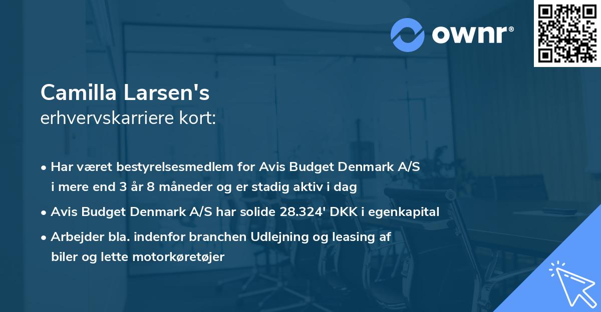 Camilla Larsen's erhvervskarriere kort