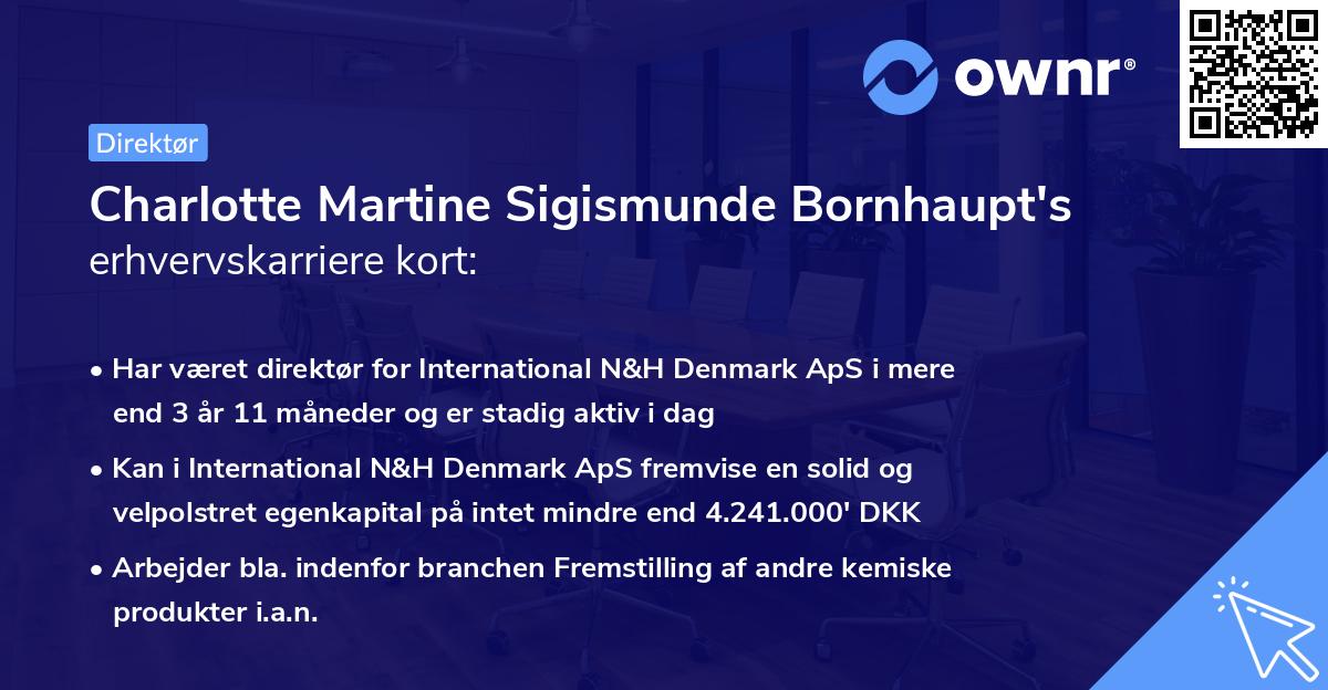 Charlotte Martine Sigismunde Bornhaupt's erhvervskarriere kort