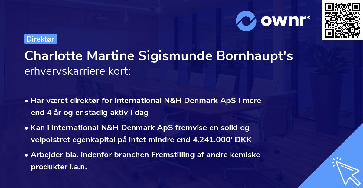 Charlotte Martine Sigismunde Bornhaupt's erhvervskarriere kort