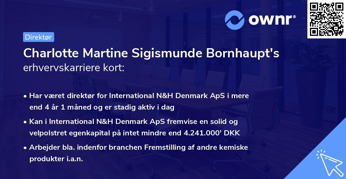 Charlotte Martine Sigismunde Bornhaupt's erhvervskarriere kort