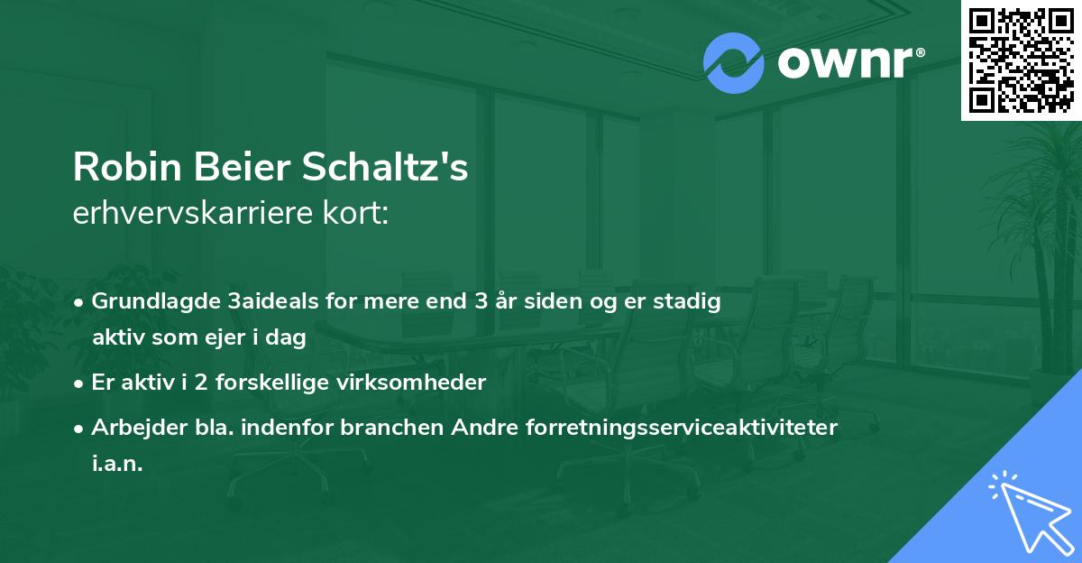Robin Beier Schaltz's erhvervskarriere kort