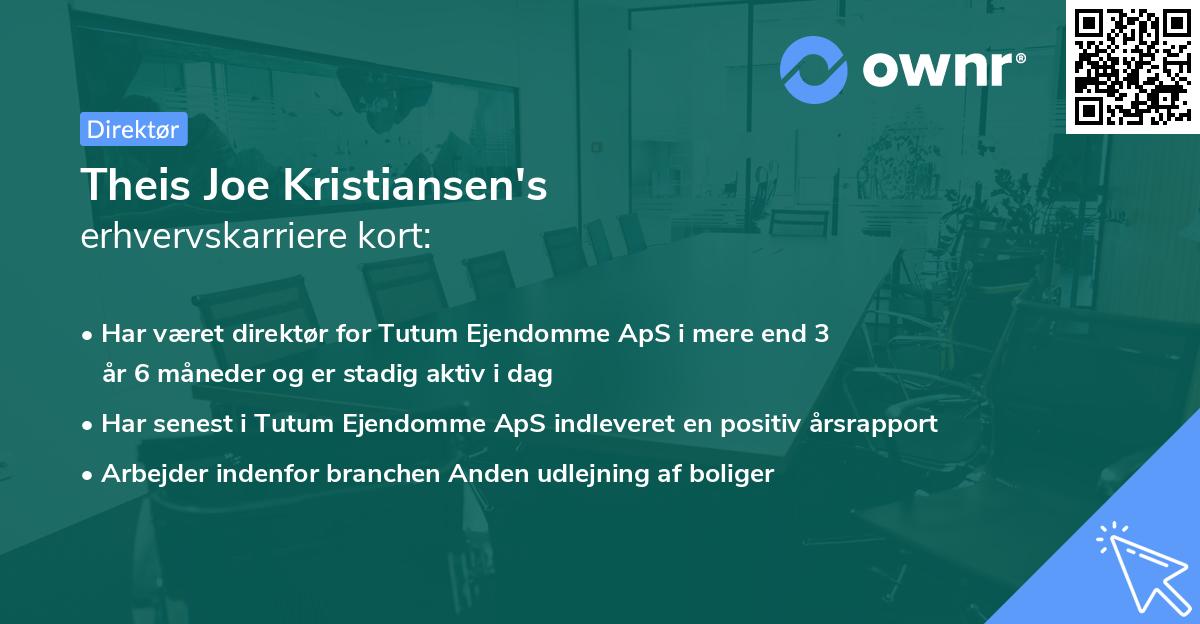 Theis Joe Kristiansen's erhvervskarriere kort