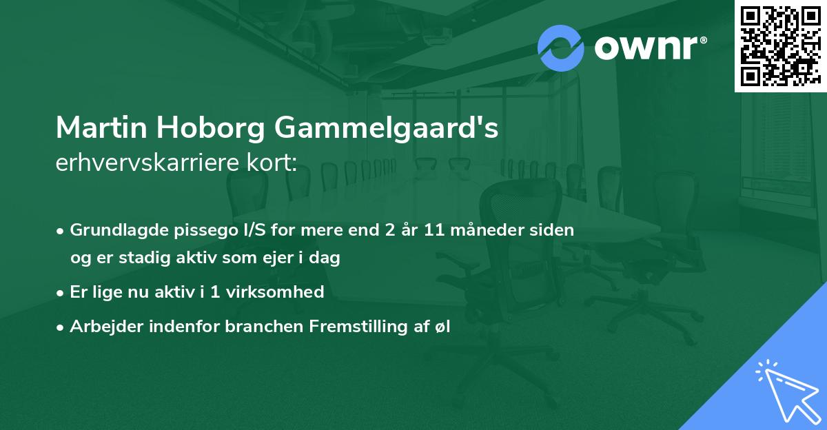 Martin Hoborg Gammelgaard's erhvervskarriere kort