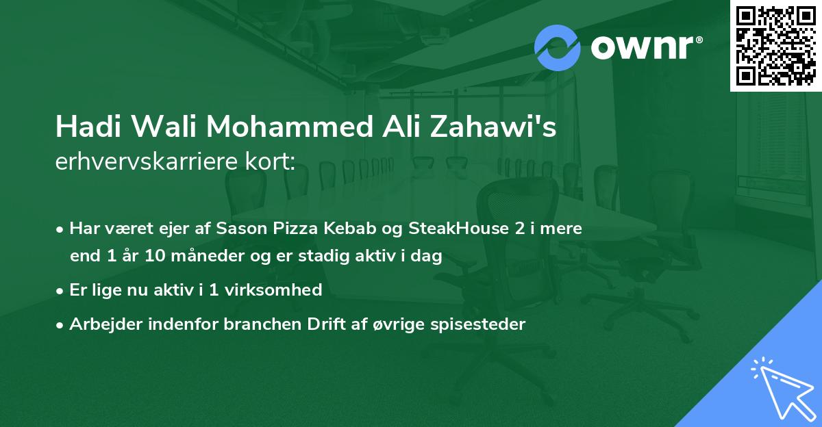 Hadi Wali Mohammed Ali Zahawi's erhvervskarriere kort