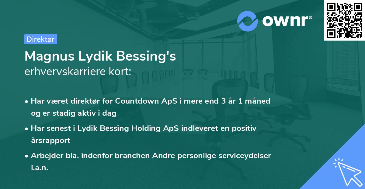 Magnus Lydik Bessing's erhvervskarriere kort