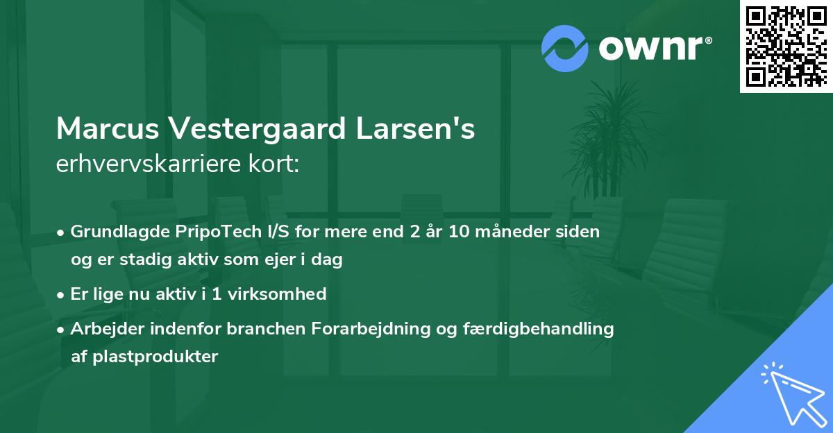 Marcus Vestergaard Larsen's erhvervskarriere kort