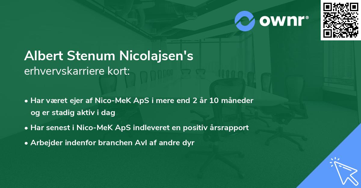 Albert Stenum Nicolajsen's erhvervskarriere kort
