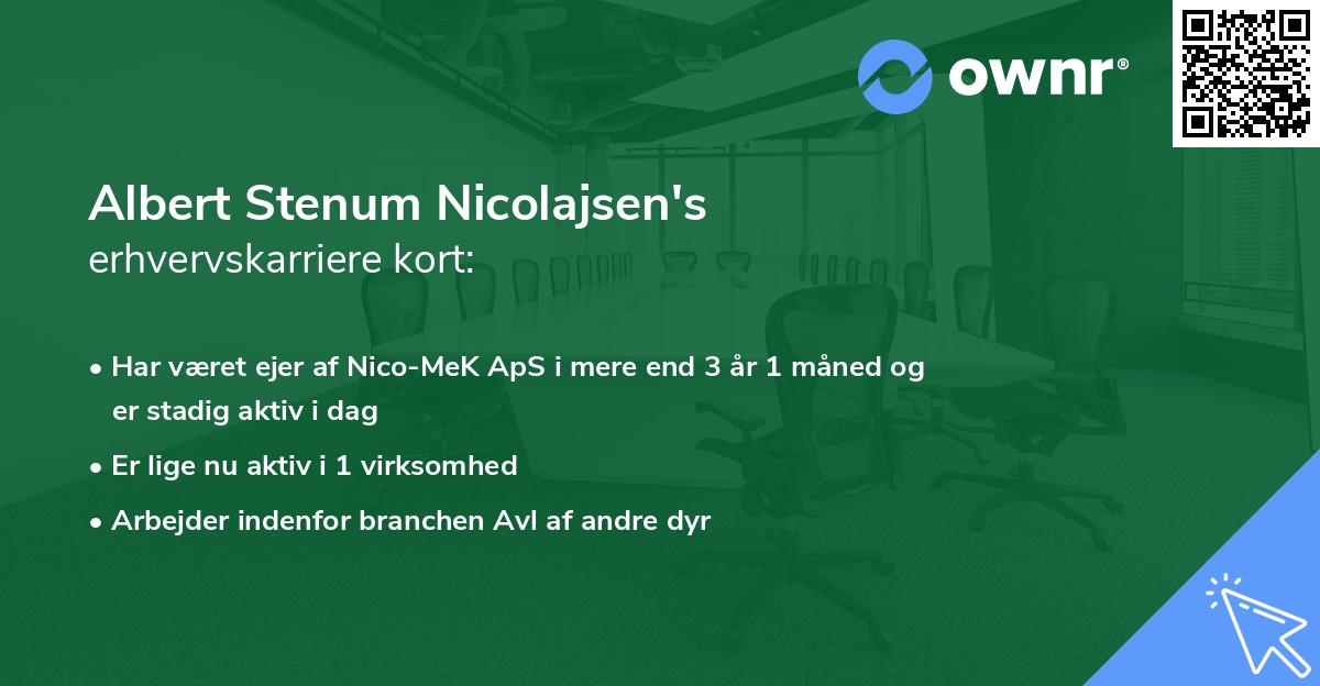 Albert Stenum Nicolajsen's erhvervskarriere kort