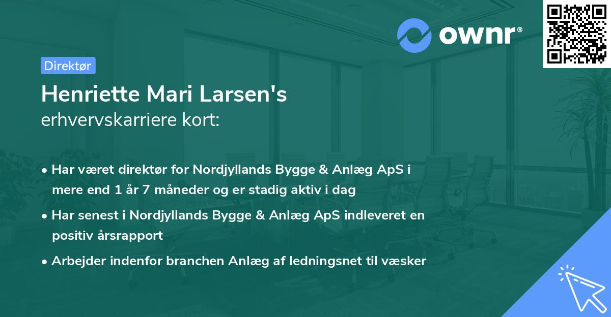 Henriette Mari Larsen's erhvervskarriere kort