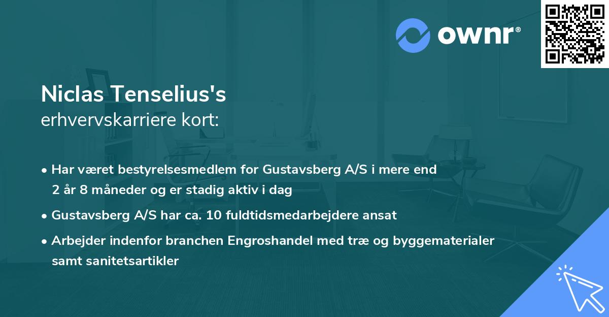 Niclas Tenselius's erhvervskarriere kort