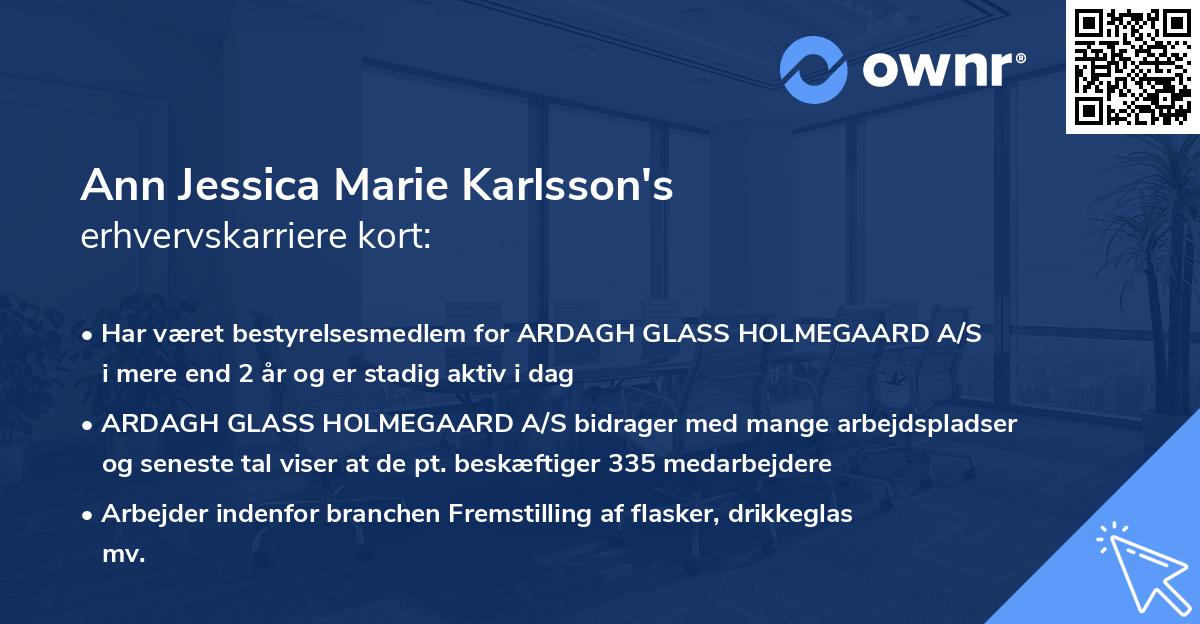 Ann Jessica Marie Karlsson's erhvervskarriere kort