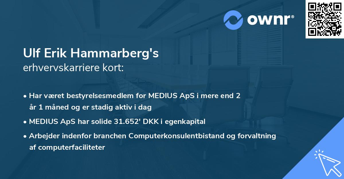 Ulf Erik Hammarberg's erhvervskarriere kort
