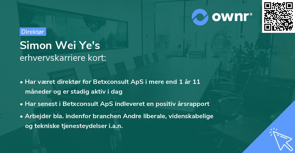 Simon Wei Ye's erhvervskarriere kort