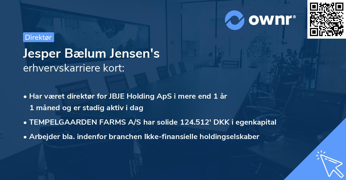 Jesper Bælum Jensen's erhvervskarriere kort