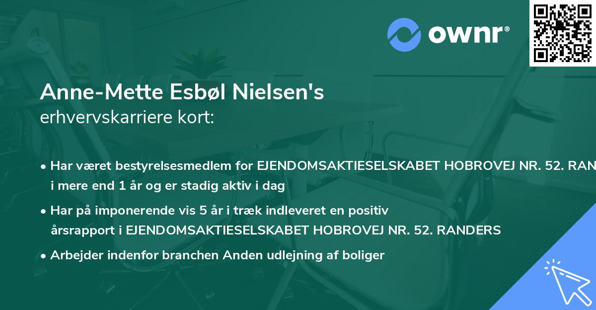 Anne-Mette Esbøl Nielsen's erhvervskarriere kort
