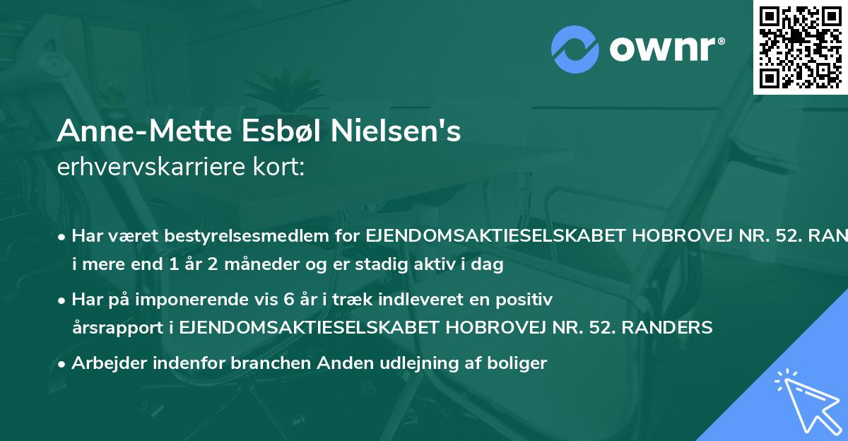 Anne-Mette Esbøl Nielsen's erhvervskarriere kort