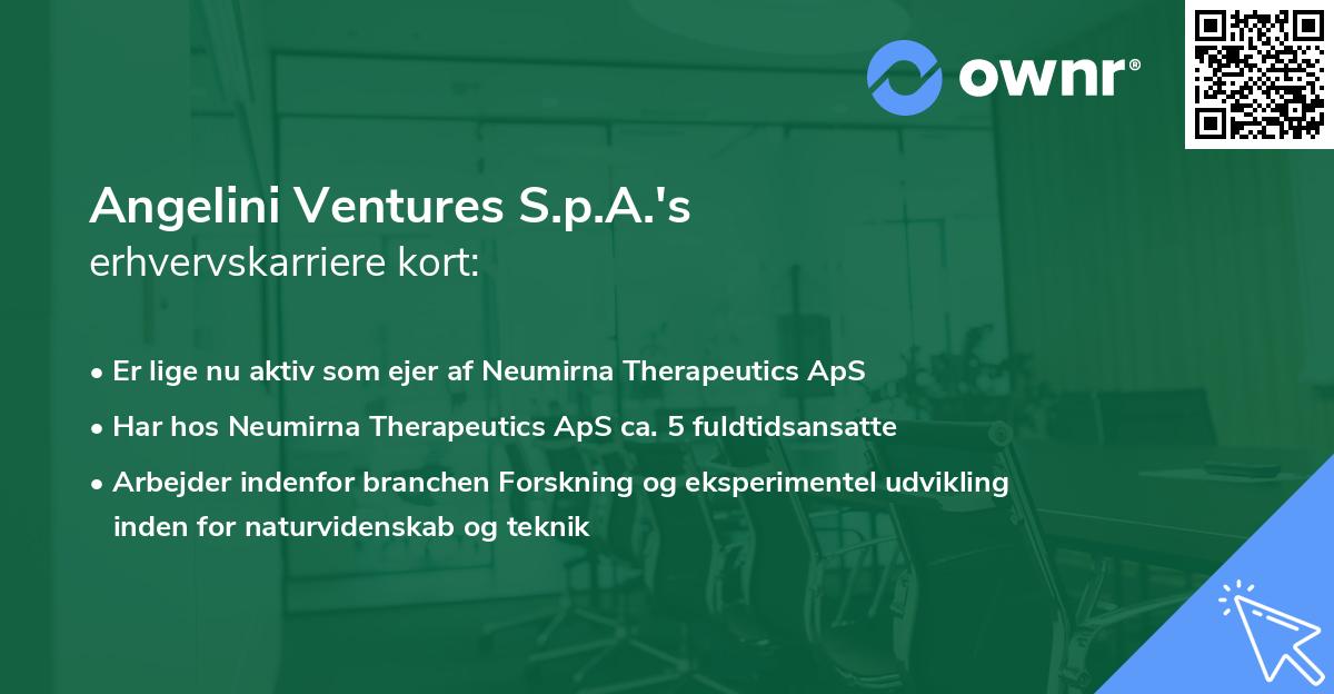 Angelini Ventures S.p.A.'s erhvervskarriere kort