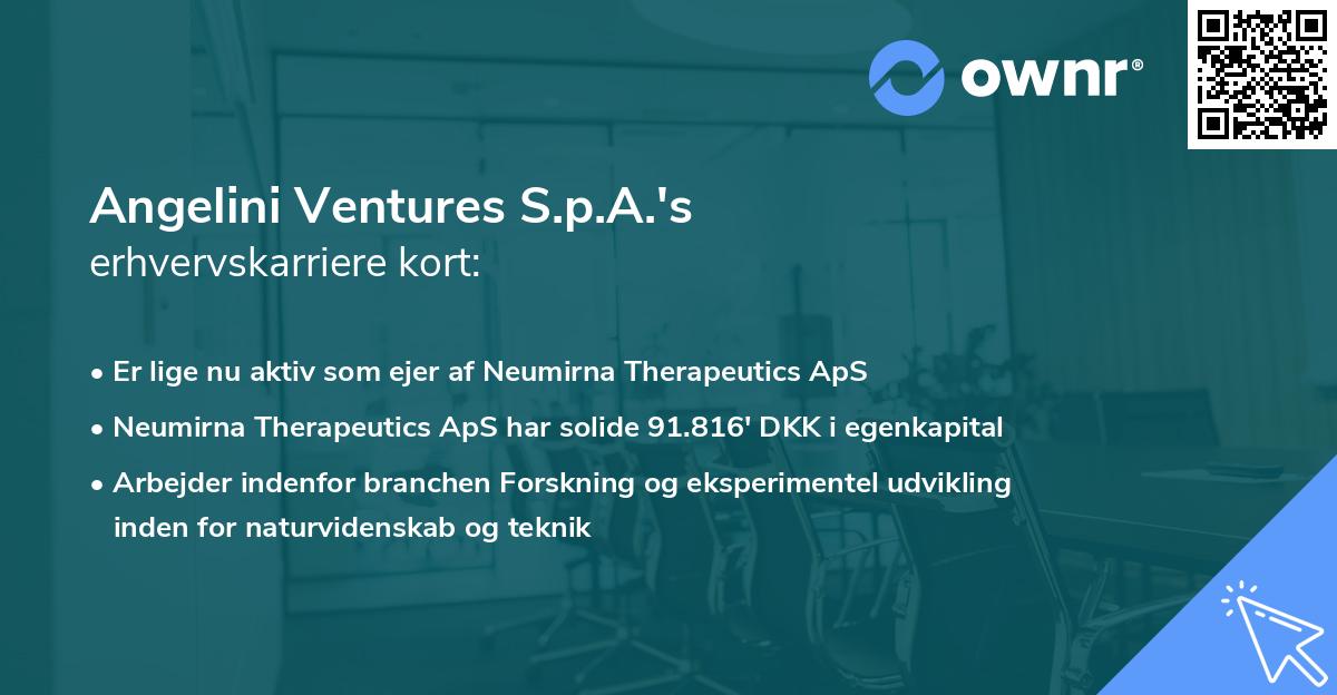 Angelini Ventures S.p.A.'s erhvervskarriere kort