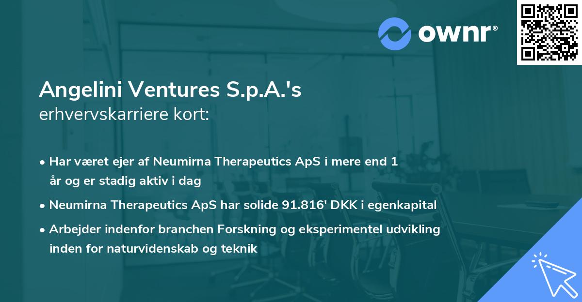 Angelini Ventures S.p.A.'s erhvervskarriere kort