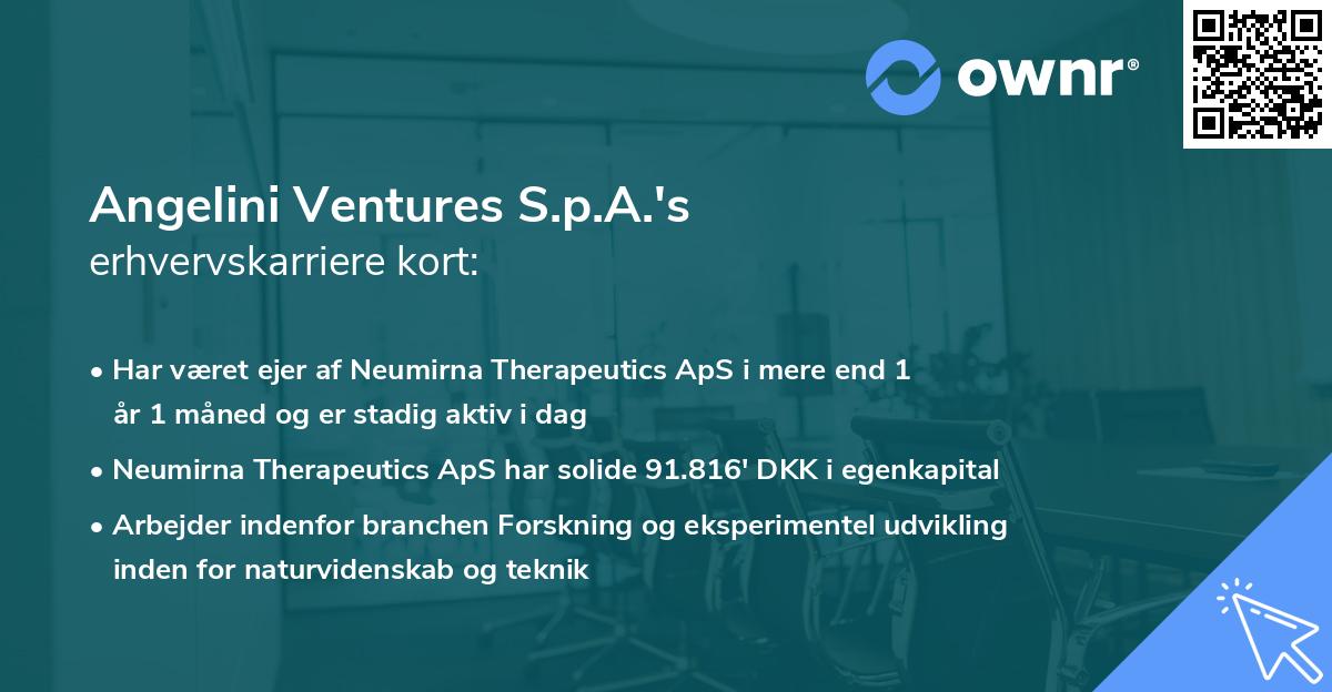 Angelini Ventures S.p.A.'s erhvervskarriere kort