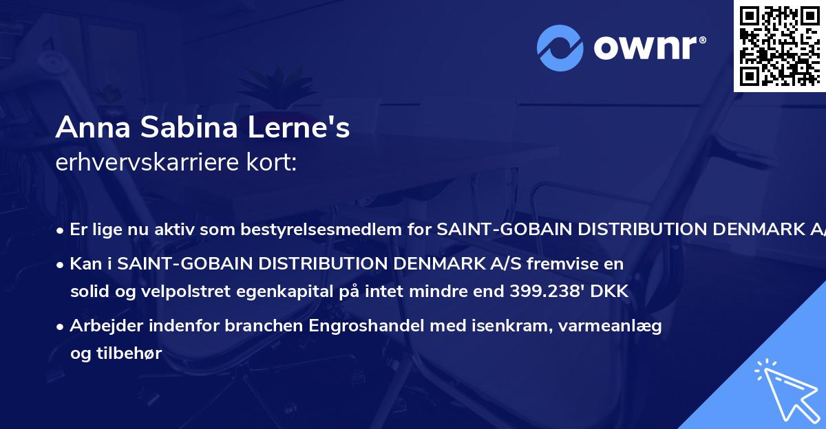 Anna Sabina Lerne's erhvervskarriere kort