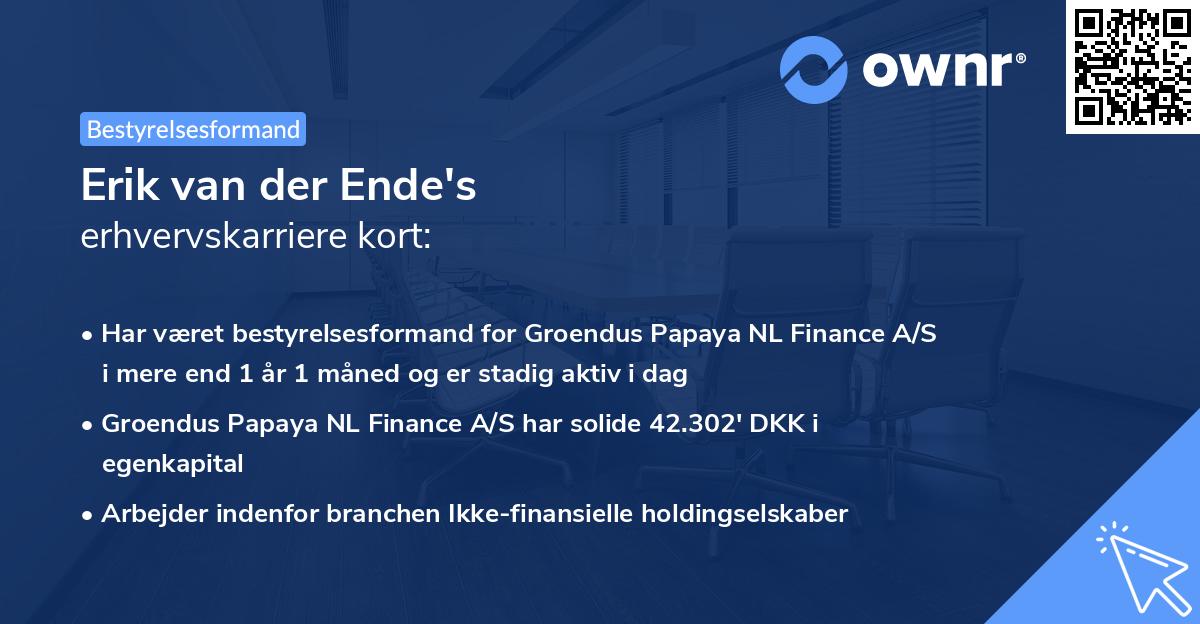 Erik van der Ende's erhvervskarriere kort