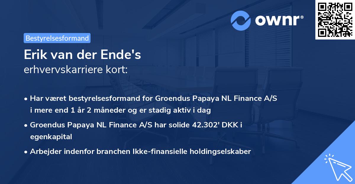 Erik van der Ende's erhvervskarriere kort