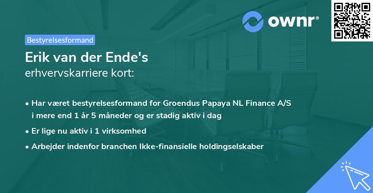 Erik van der Ende's erhvervskarriere kort