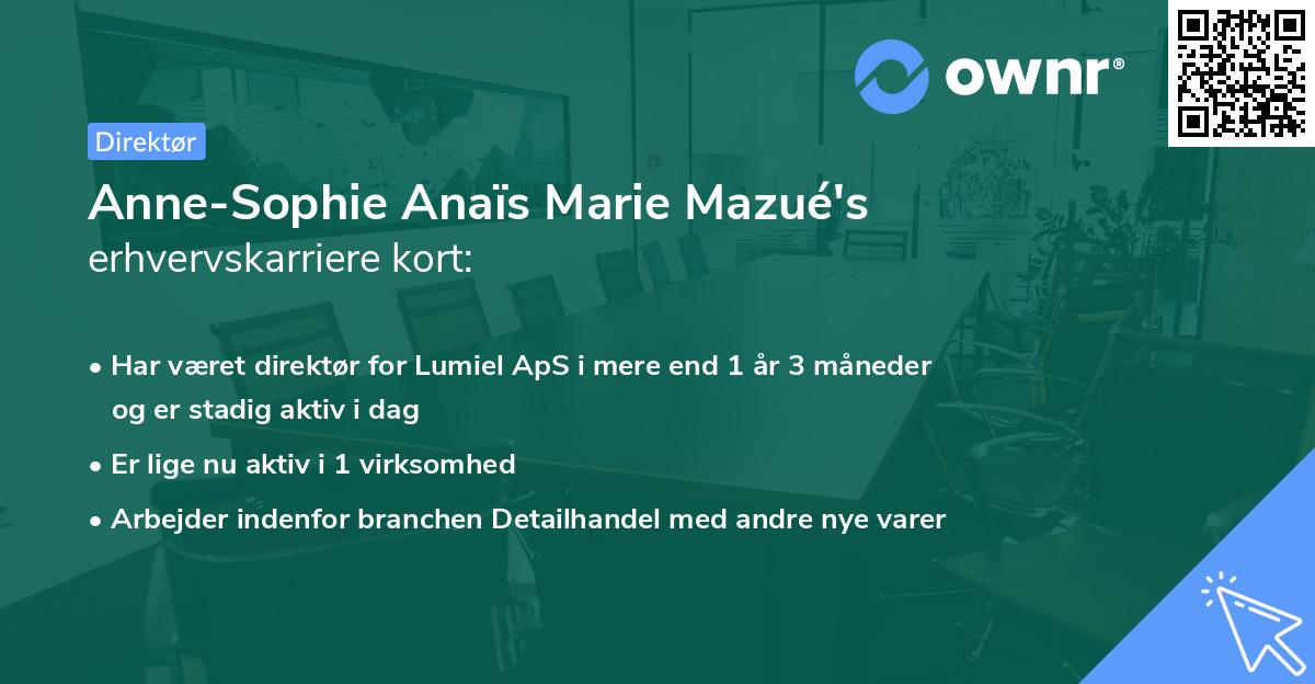 Anne-Sophie Anaïs Marie Mazué's erhvervskarriere kort