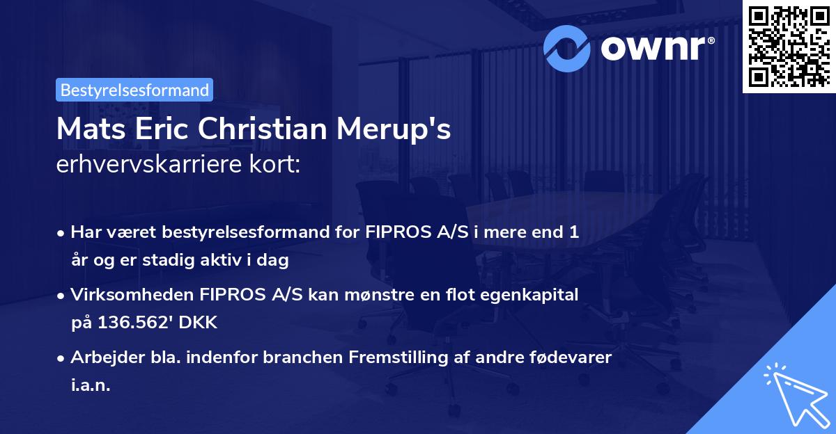 Mats Eric Christian Merup's erhvervskarriere kort
