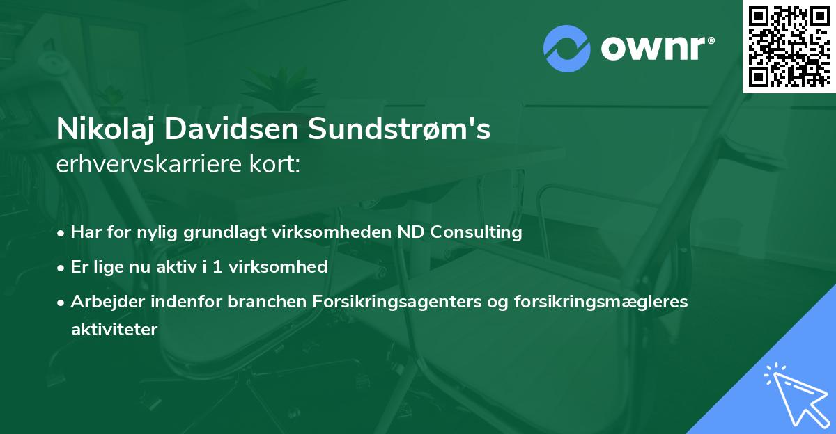 Nikolaj Davidsen Sundstrøm's erhvervskarriere kort