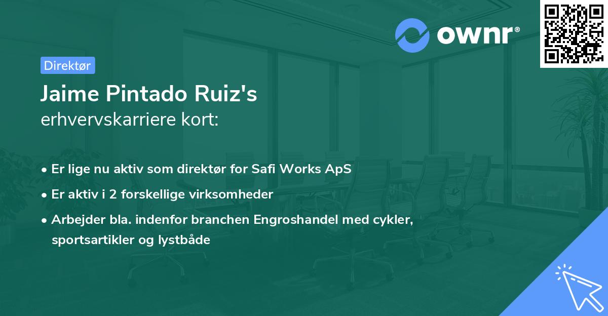 Jaime Pintado Ruiz's erhvervskarriere kort