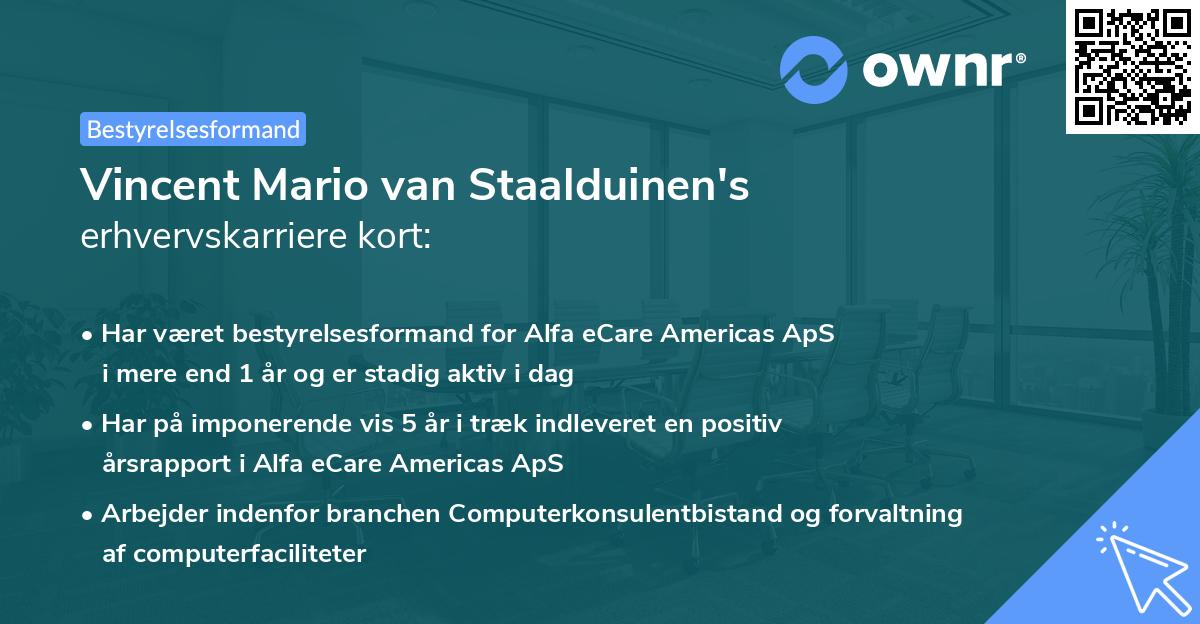 Vincent Mario van Staalduinen's erhvervskarriere kort
