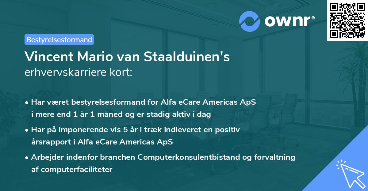 Vincent Mario van Staalduinen's erhvervskarriere kort