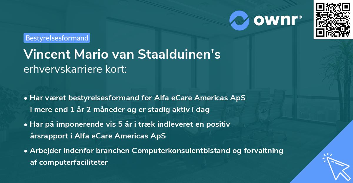 Vincent Mario van Staalduinen's erhvervskarriere kort