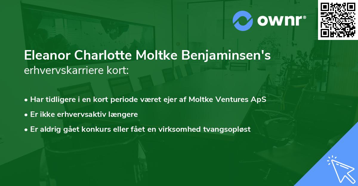 Eleanor Charlotte Moltke Benjaminsen's erhvervskarriere kort