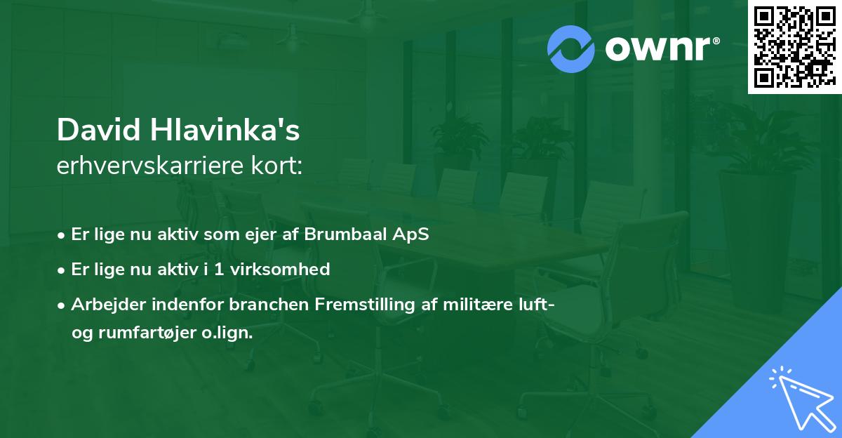 David Hlavinka's erhvervskarriere kort