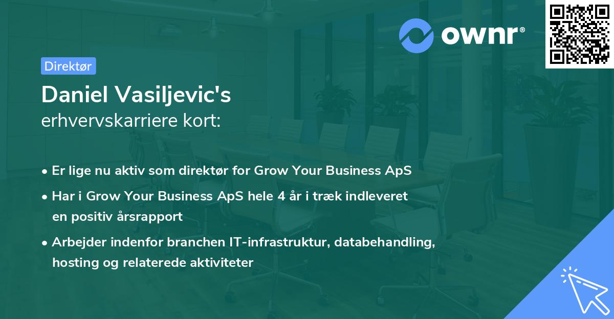 Daniel Vasiljevic's erhvervskarriere kort