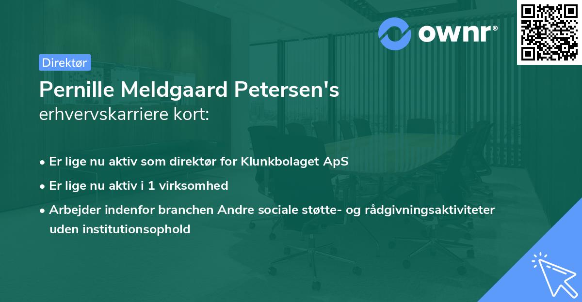 Pernille Meldgaard Petersen's erhvervskarriere kort